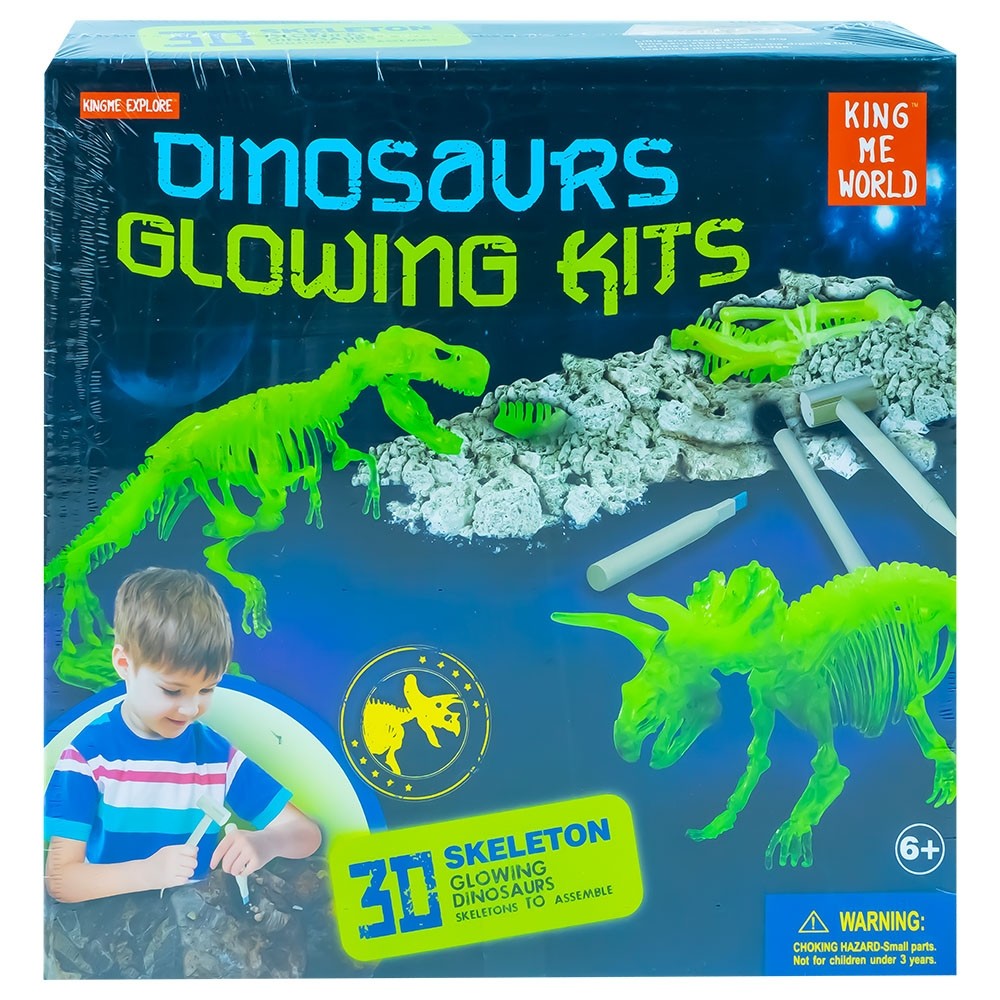 Set paleontologie - Descopera dinozauri