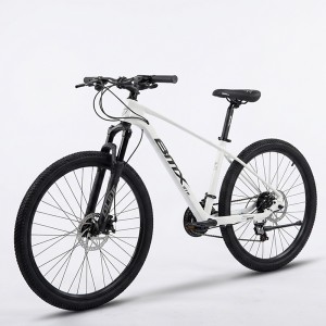 Bicicleta, 21 viteze, nr. 26