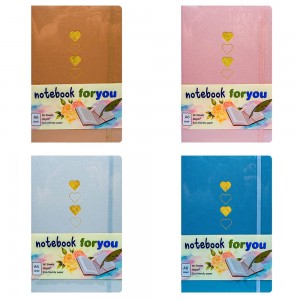 Notes A6, PU, 80 file