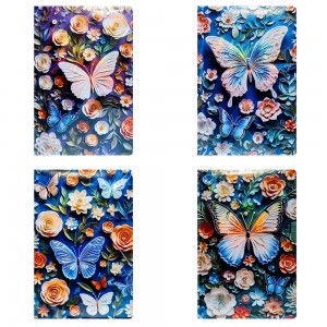 Notes C6, 80 file, Butterfly
