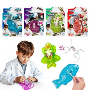 Set slime, Kidscovery - Invata biologia - Toi-Toys